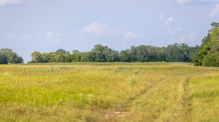 3G Ranch
