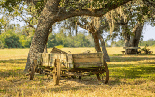Texas Real Estate