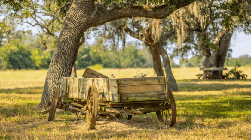 Texas Real Estate