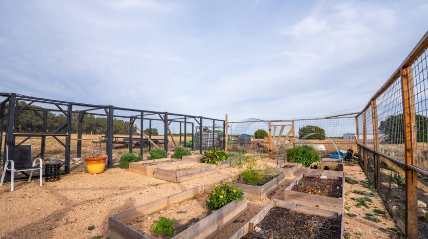 Fowl Play Ranch